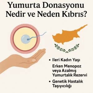 kıbrıs'ta yumurta donasyonu