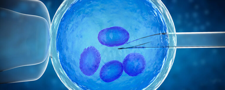 PGT (Preimplantasyon Genetik Test) Nedir?