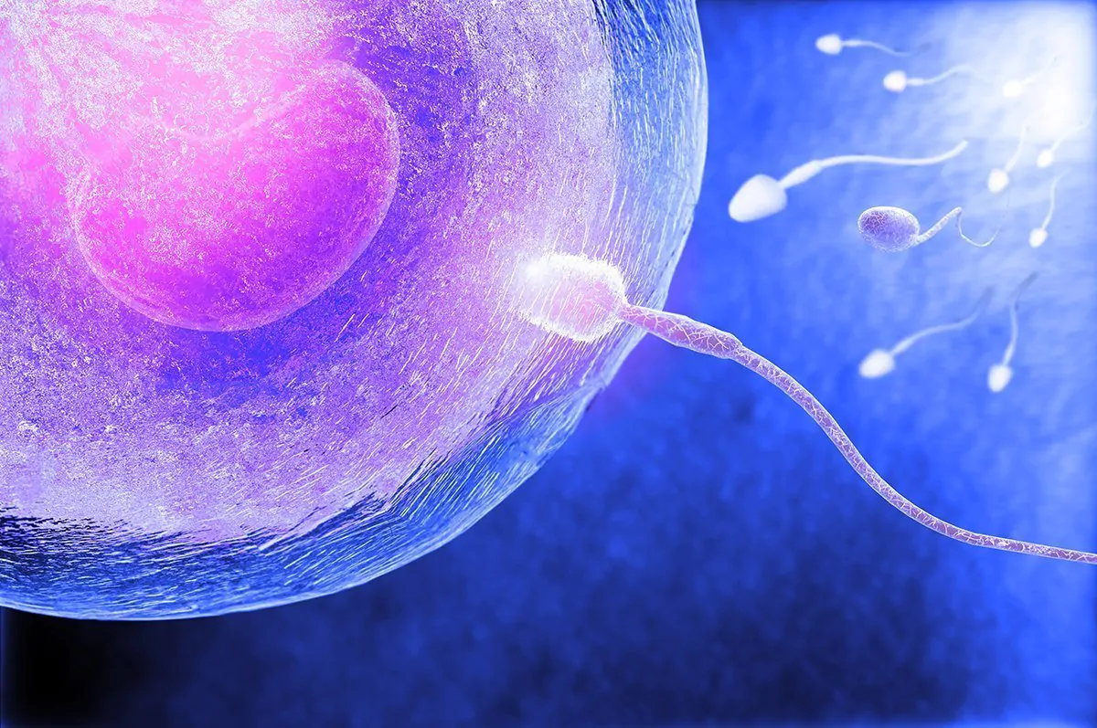 Sperm Donasyonu ile Tüp Bebek Tedavisi – Kapsamlı Rehber 2026