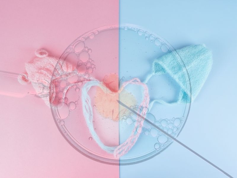 Tüp bebekte cinsiyet seçimi